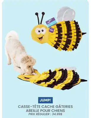 Chico CASSE-TÊTE CACHE GÂTERIES ABEILLE POUR CHIENS JUMP! offer