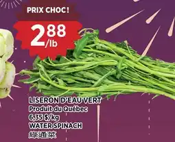 Kim Phat WATER SPINACH offer