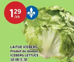 Kim Phat ICEBERG LETTUCE offer