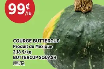 Kim Phat BUTTERCUP SQUASH offer