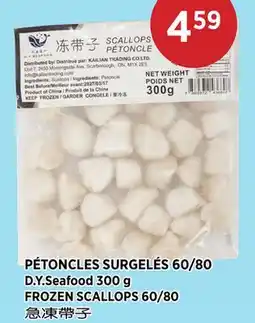Kim Phat D.Y.Seafood FROZEN SCALLOPS 60/80 offer