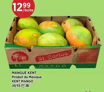 Kim Phat KENT MANGO offer