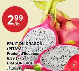 Kim Phat DRAGON FRUIT offer