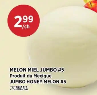 Kim Phat JUMBO HONEY MELON #5 offer