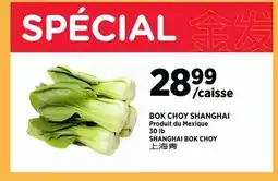 Kim Phat SHANGHAI BOK CHOY offer