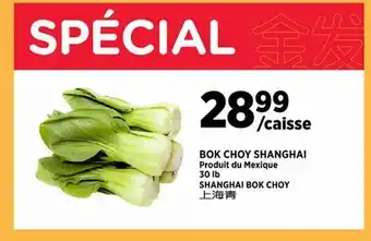 Kim Phat SHANGHAI BOK CHOY offer