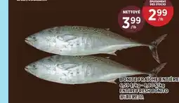 Kim Phat ENTIRE FRESH BONITO offer