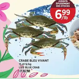 Kim Phat LIVE BLUE CRAB offer