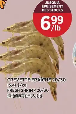 Kim Phat FRESH SHRIMP 20/30 offer