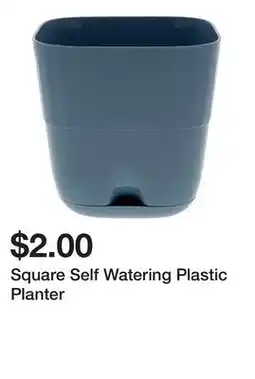 Dollarama Square Self Watering Plastic Planter offer