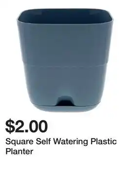 Dollarama Square Self Watering Plastic Planter offer