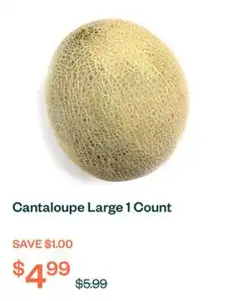 Voilà Cantaloupe Large 1 Count offer