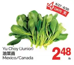 T&T Supermarket YU CHOY offer