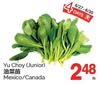 T&T Supermarket YU CHOY offer