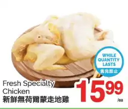 T&T Supermarket FRESH SPECIALTY CHICKEN offer
