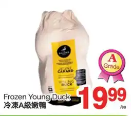 T&T Supermarket FROZEN YOUNG DUCK offer