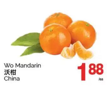 T&T Supermarket WO MANDARIN offer