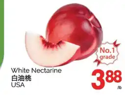 T&T Supermarket WHITE NECTARINE USA offer