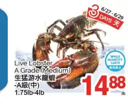 T&T Supermarket LIVE LOBSTER, 1.75lb-4lb offer