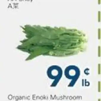 Oceans Fresh Food Market AA Choy offer