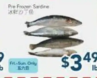 Oceans Fresh Food Market Pre Frozen Sardine offer