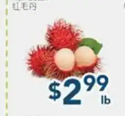 Oceans Fresh Food Market Rambutan offer