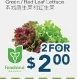 Oceans Fresh Food Market Green/Red Leaf Lettuce offer