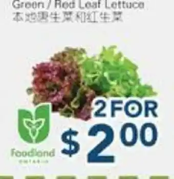 Oceans Fresh Food Market Green/Red Leaf Lettuce offer
