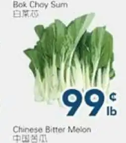 Oceans Fresh Food Market Bok Choy Sum offer