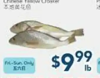 Oceans Fresh Food Market Chinese Yellow Croaker offer
