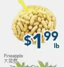 Oceans Fresh Food Market Fresh Peanuts offer