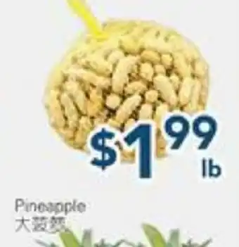 Oceans Fresh Food Market Fresh Peanuts offer