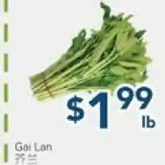 Oceans Fresh Food Market White Ton Choy offer