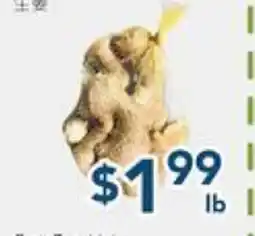 Oceans Fresh Food Market Ginger offer