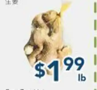 Oceans Fresh Food Market Ginger offer