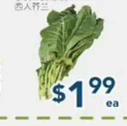Oceans Fresh Food Market Green Cabbage offer