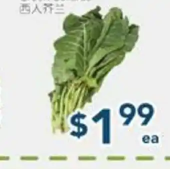 Oceans Fresh Food Market Green Cabbage offer
