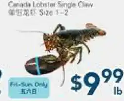 Oceans Fresh Food Market Canada Lobster Single Claw offer