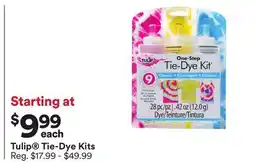 Michaels Tulip Tie-Dye Kits offer