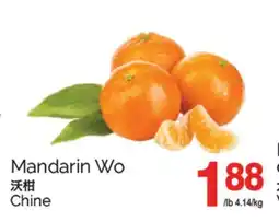 T&T Supermarket MANDARIN WO offer