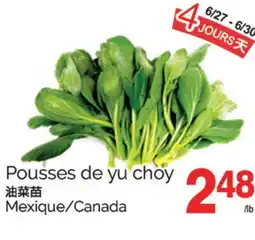 T&T Supermarket POUSSES DE YU CHOY offer