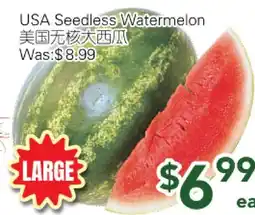Ample Food Market USA Seedless Watermelon offer
