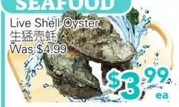 Ample Food Market Live Shell Oyster offer