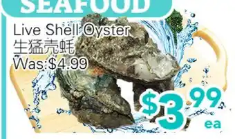 Ample Food Market Live Shell Oyster offer