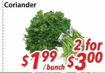 Bestco Food Mart Coriander offer