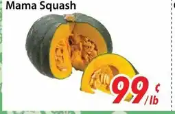 Bestco Food Mart Mama Squash offer