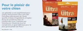 Chico POUR LE PLAISIR DE VOTRE CHIEN offer