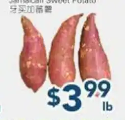 Oceans Fresh Food Market VEGETABLE offer