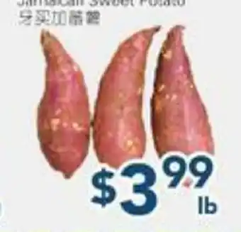Oceans Fresh Food Market VEGETABLE offer
