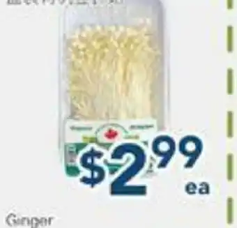 Oceans Fresh Food Market Organic Enoki Mushroom offer